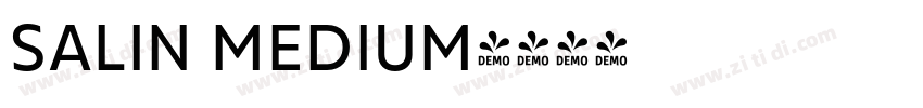 SALIN MEDIUM字体转换